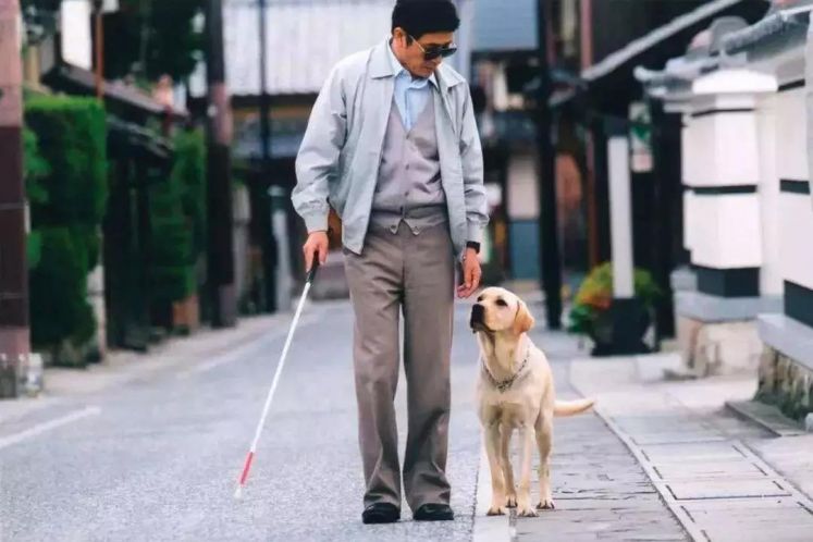 與殘障人交往的禮儀