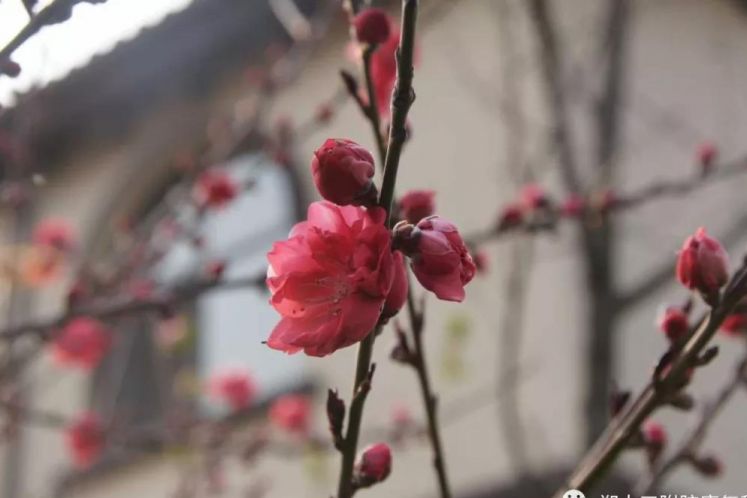 腦損傷（腦癱高危兒）要不要治療？