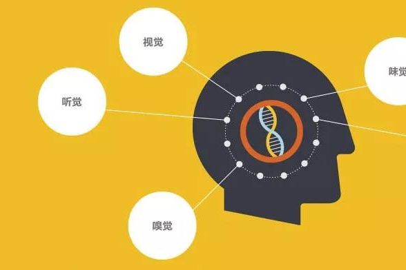 智力落后兒童感知覺運功能力早期干預的原則