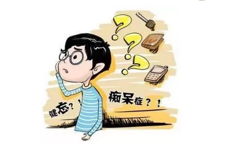 海馬體與記憶力