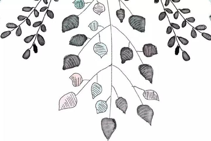 【專家之聲】解慧超：國(guó)外教育學(xué)評(píng)估（二）——評(píng)估的方式和結(jié)果解讀