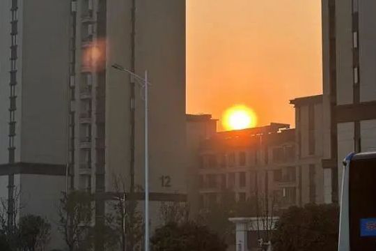 伯母與孤獨癥侄兒的人生救贖：6點起床趕首班公交，只為看到更多希望