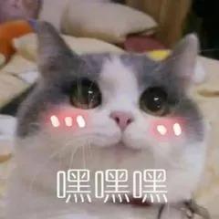 微信圖片_20210331091814.jpg
