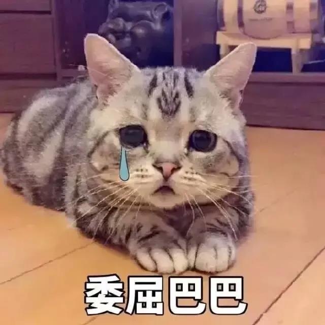 微信圖片_20210331091907.jpg